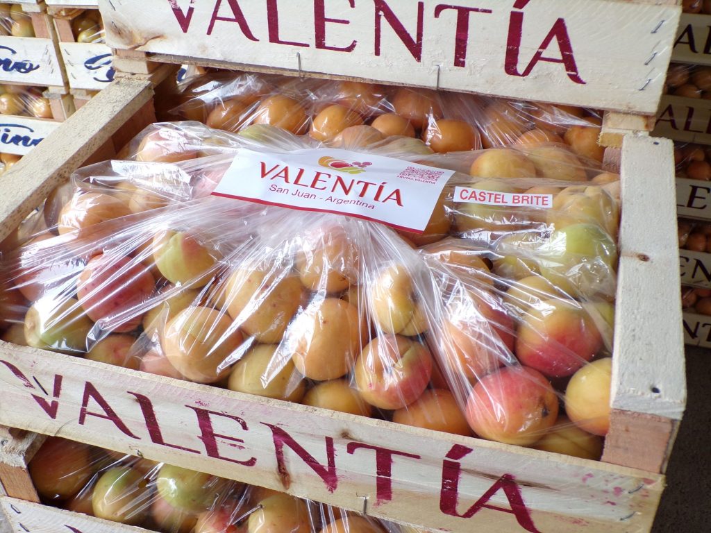 cajon damasco valentia - castel brite