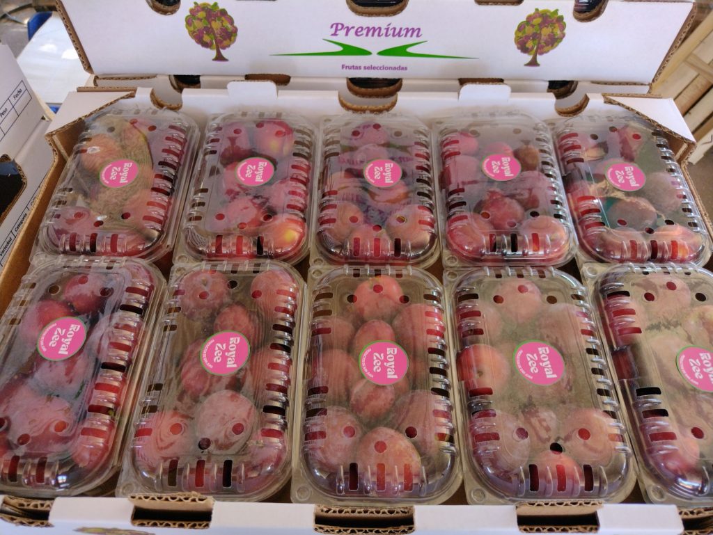 ciruelas en bandejitas